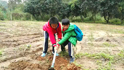 深圳九龍山生態(tài)園公司出游+親子互動(dòng)+朋友聚會(huì)一日游方案