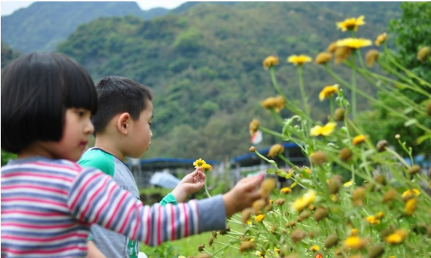 深圳九龍山生態(tài)園的歡樂親子一天游