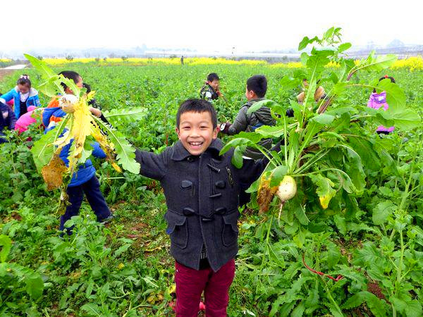 深圳市翠竹小學(xué)親子活動選擇深圳九龍山生態(tài)園