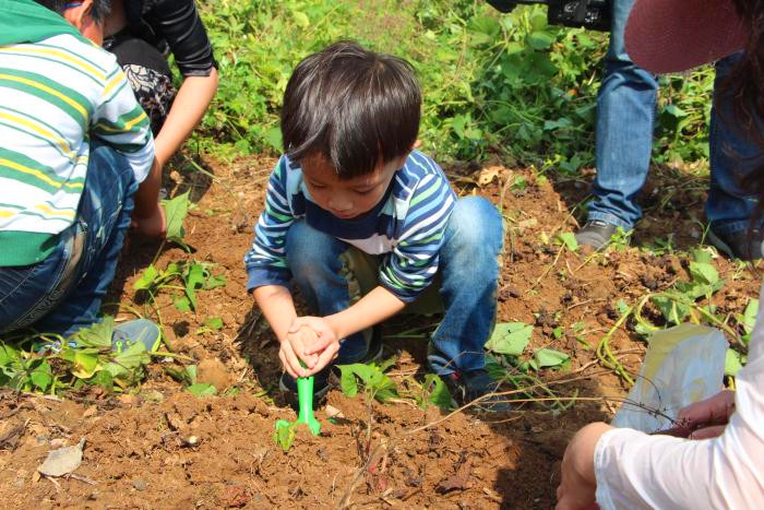 深圳匯龍幼兒園九龍山生態(tài)園戶外活動一日游