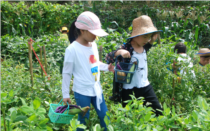 深圳市羅湖區(qū)實(shí)驗(yàn)嘉寶田幼兒園九龍山生態(tài)園親子一日游