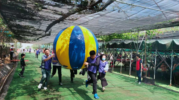 五一小長假深圳親子游推薦深圳農家樂生態(tài)園好玩的地方