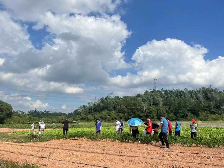 深圳生態(tài)園戶外野炊燒烤假期出行游玩項目超多適合家庭出游公司團(tuán)建